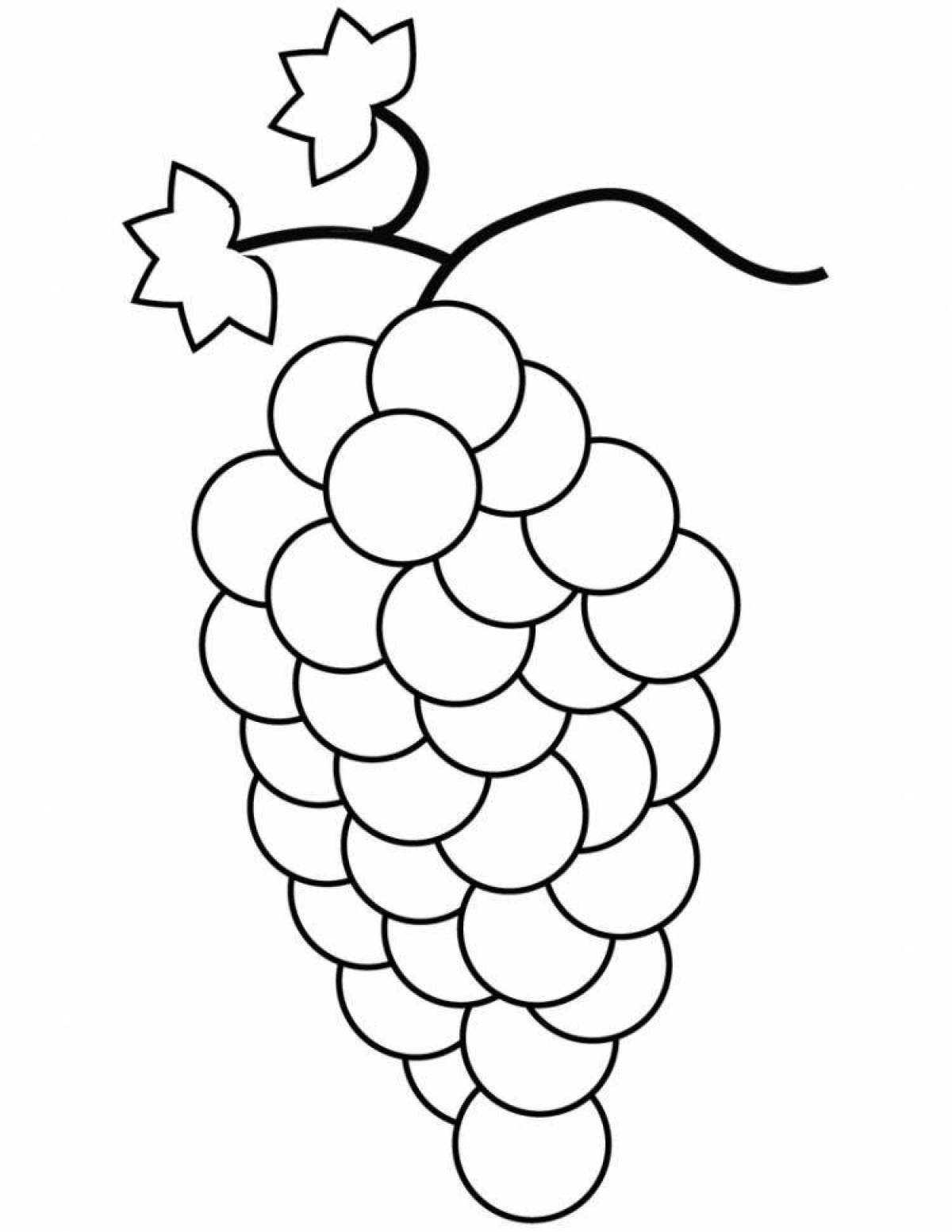 Many grapes coloring book for kids