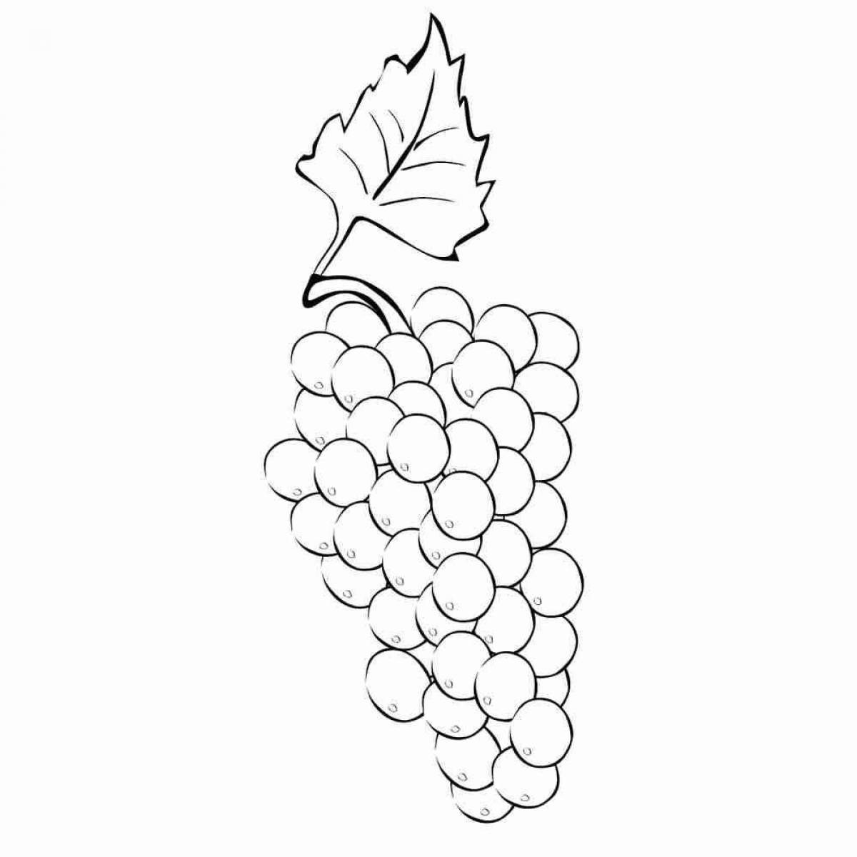 Living grape coloring page for kids