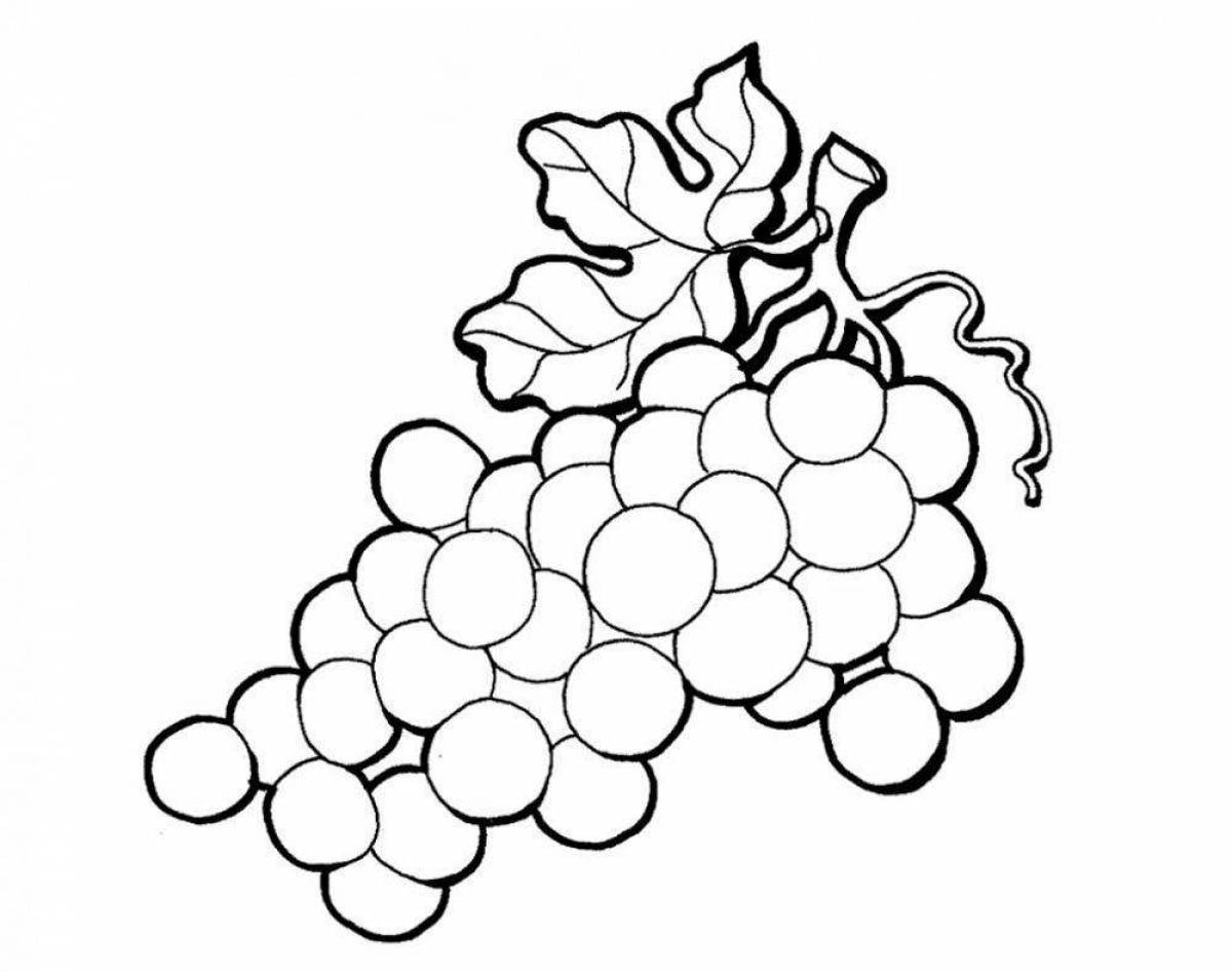 Animated grape coloring for kids