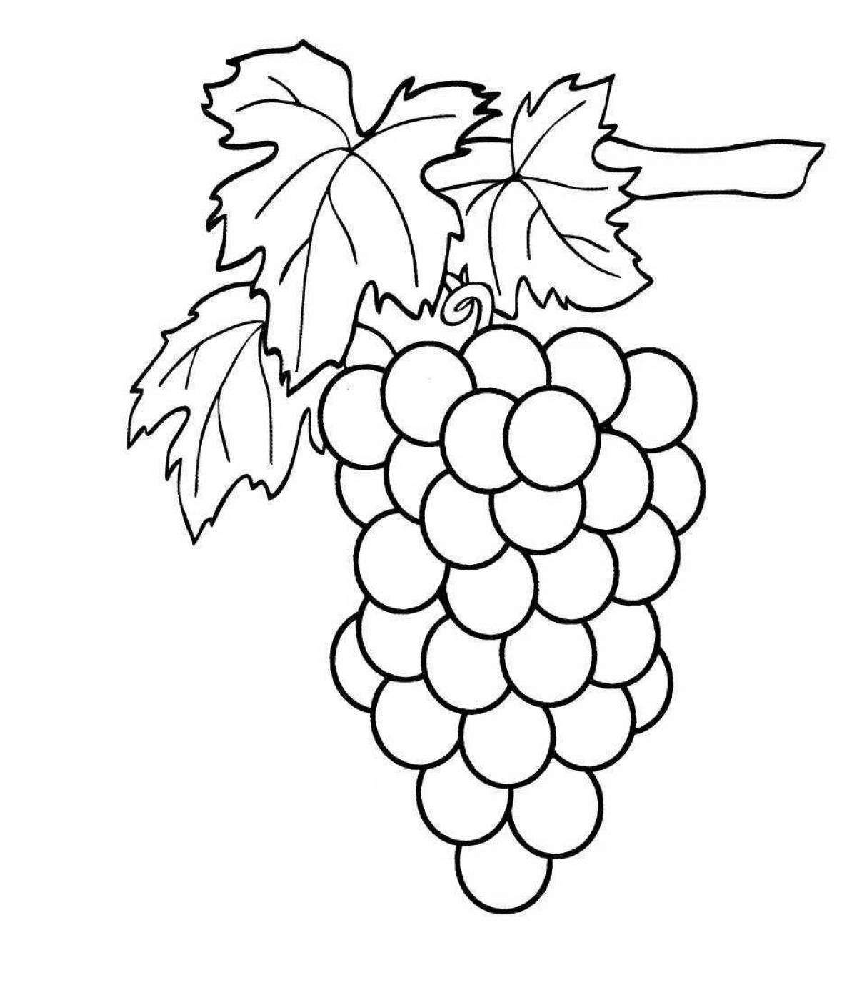 Rampant grapes coloring pages for kids