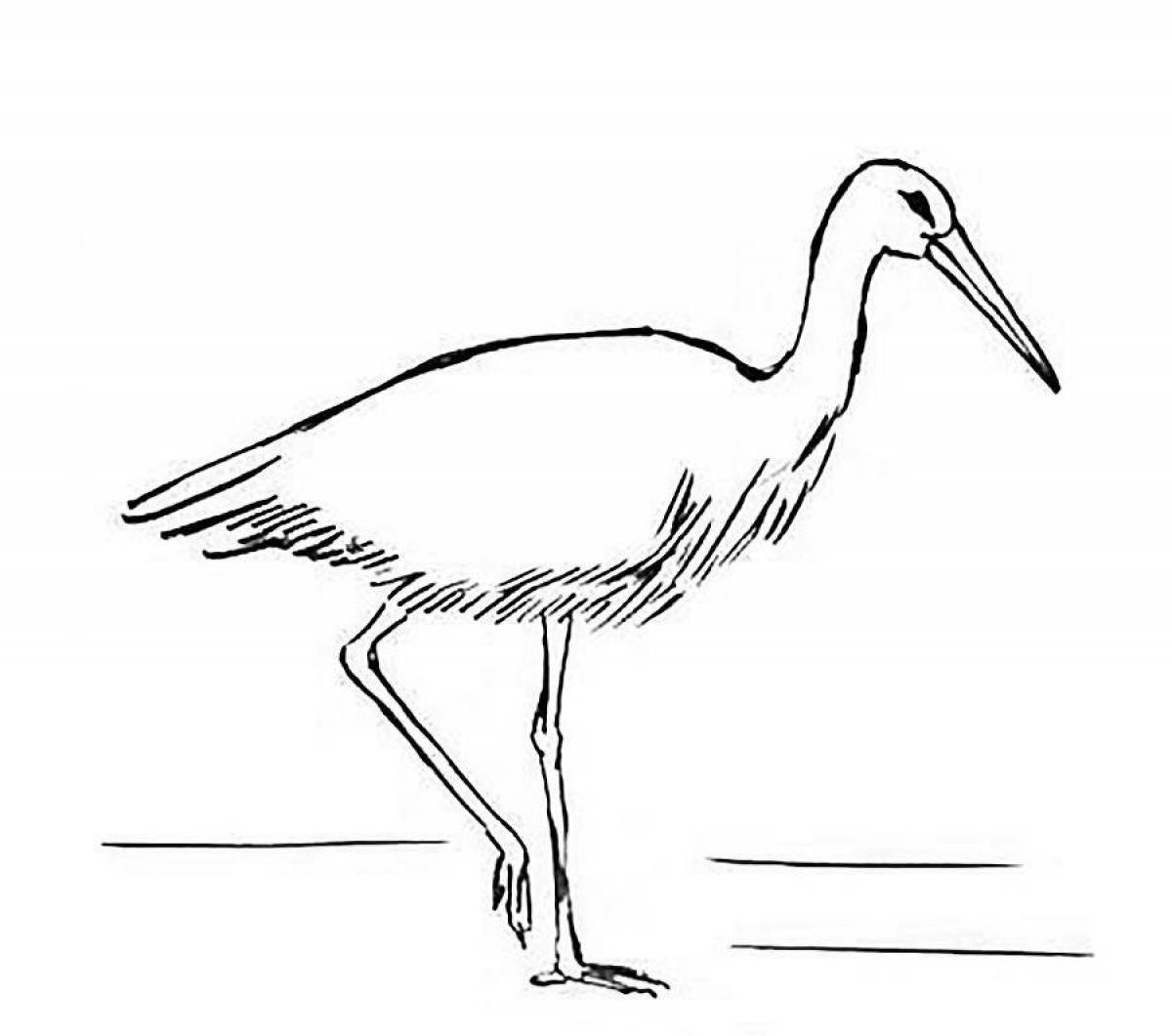 Colorful stork coloring pages for kids
