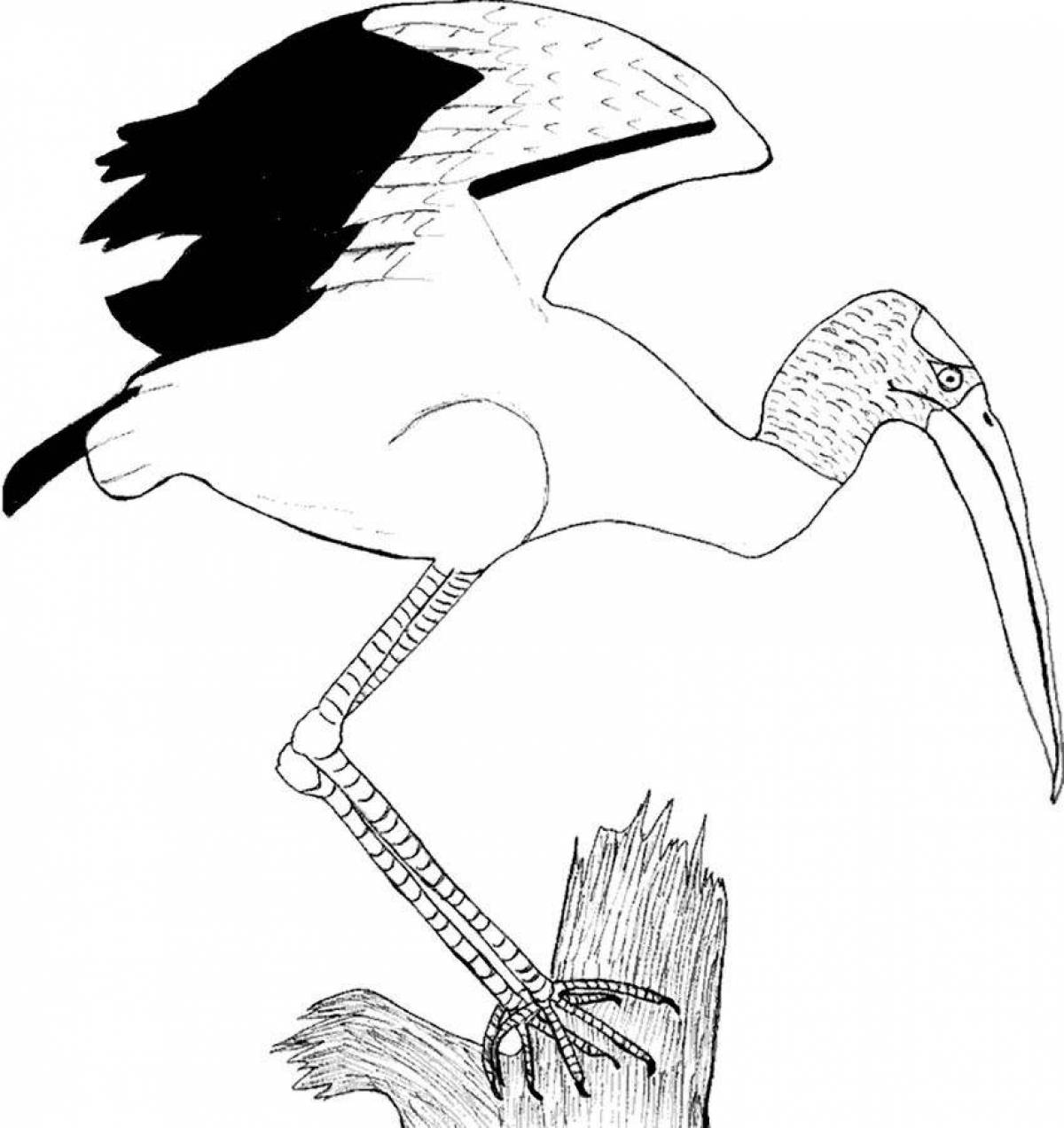 Adorable stork coloring book for beginners