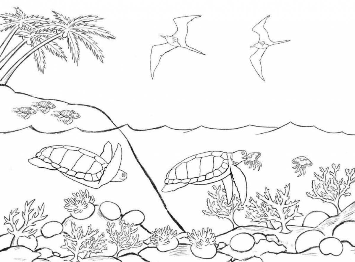 Adorable marine coloring book for kids