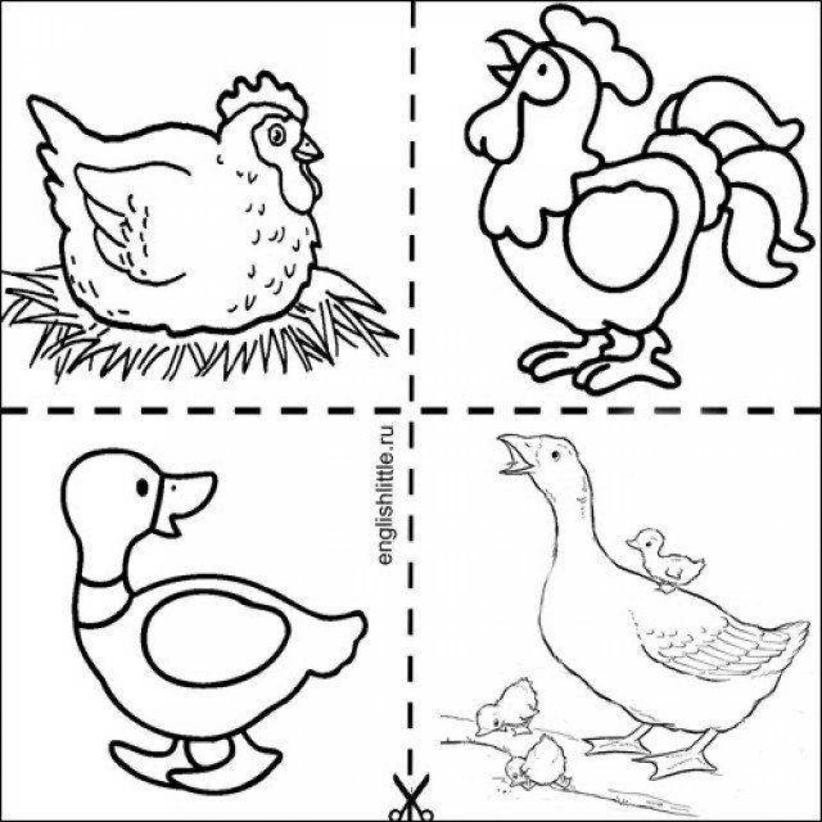Funny coloring pages pets for children 2-3 years old