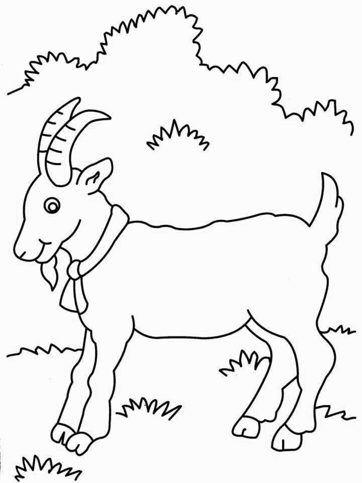 Fun coloring pages of pets for children 2-3 years old
