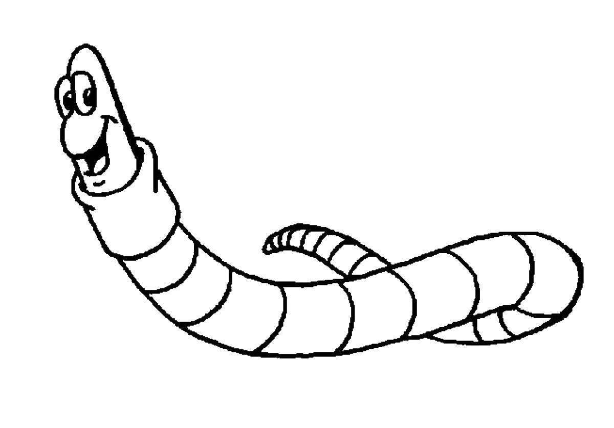 Delightful coloring worm