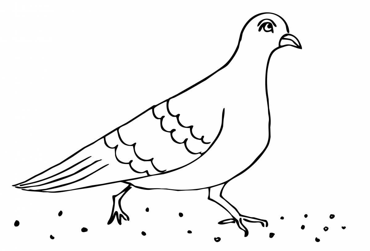 Яркая птичка-раскраска для детей 4-5 лет