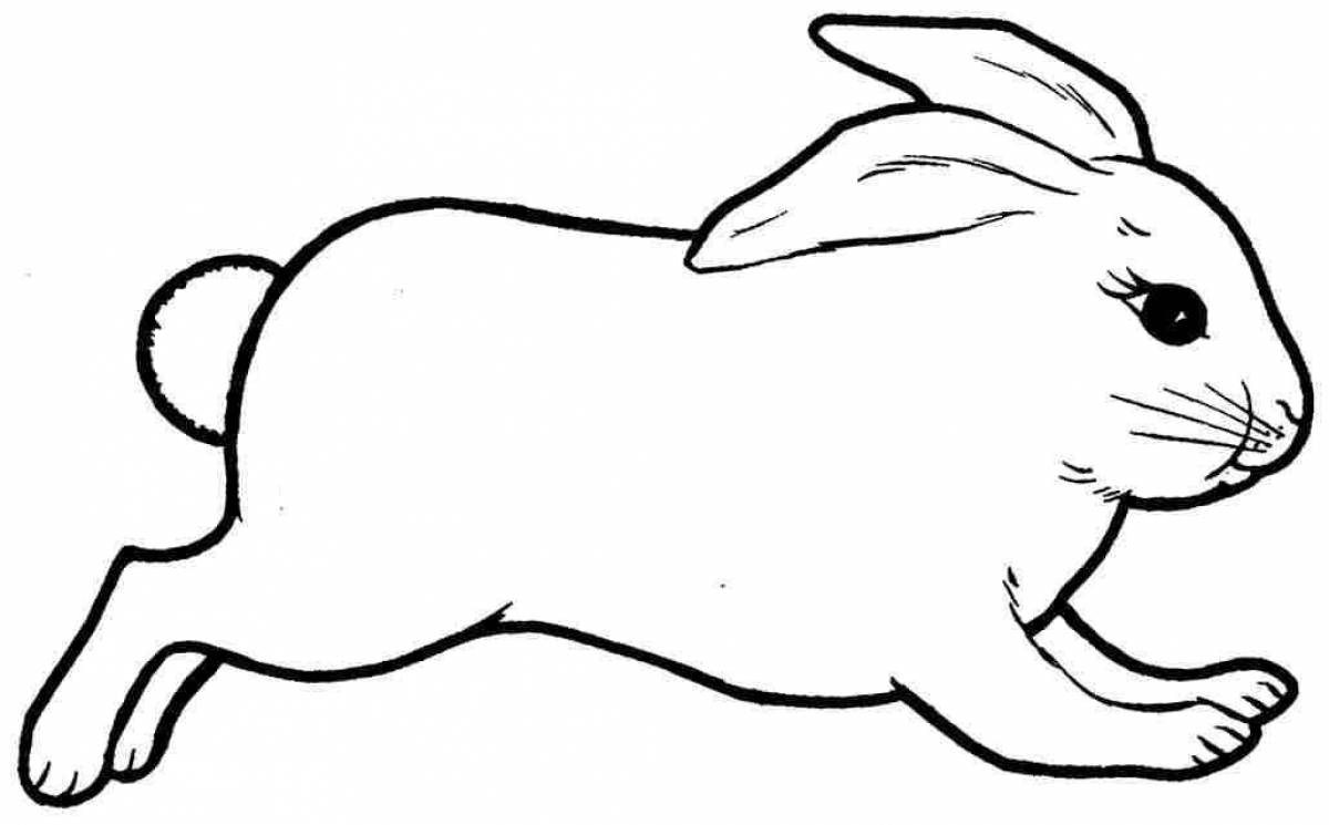 Adorable year of the rabbit coloring book