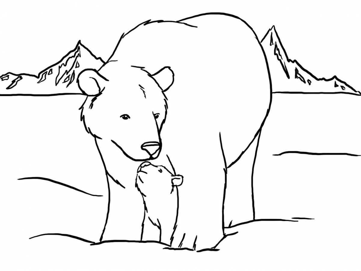Раскраска мягкий белый медведь