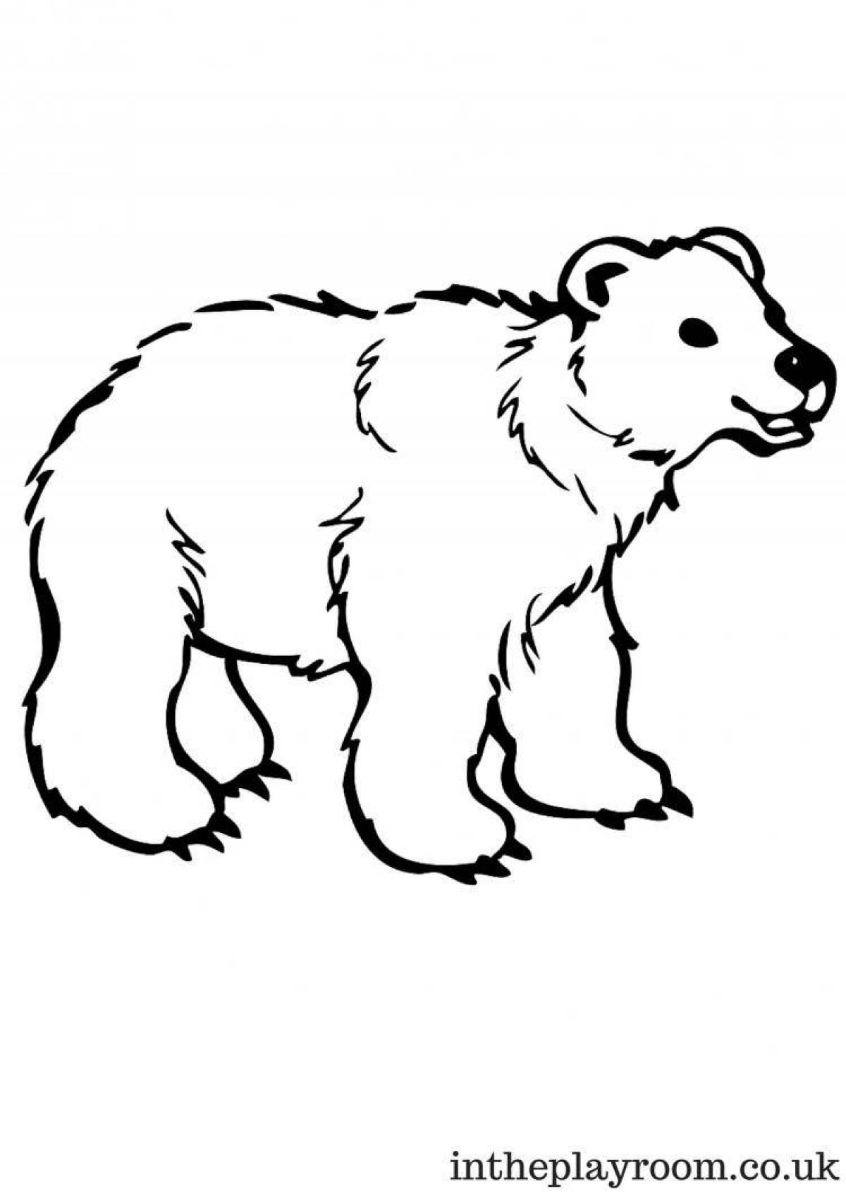Белый медведь раскраска для малышей