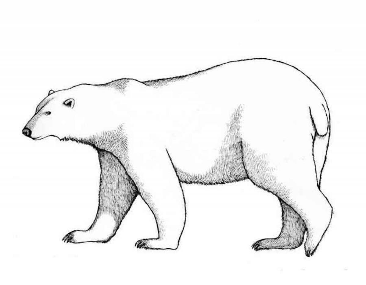 Раскраска остроумный белый медведь