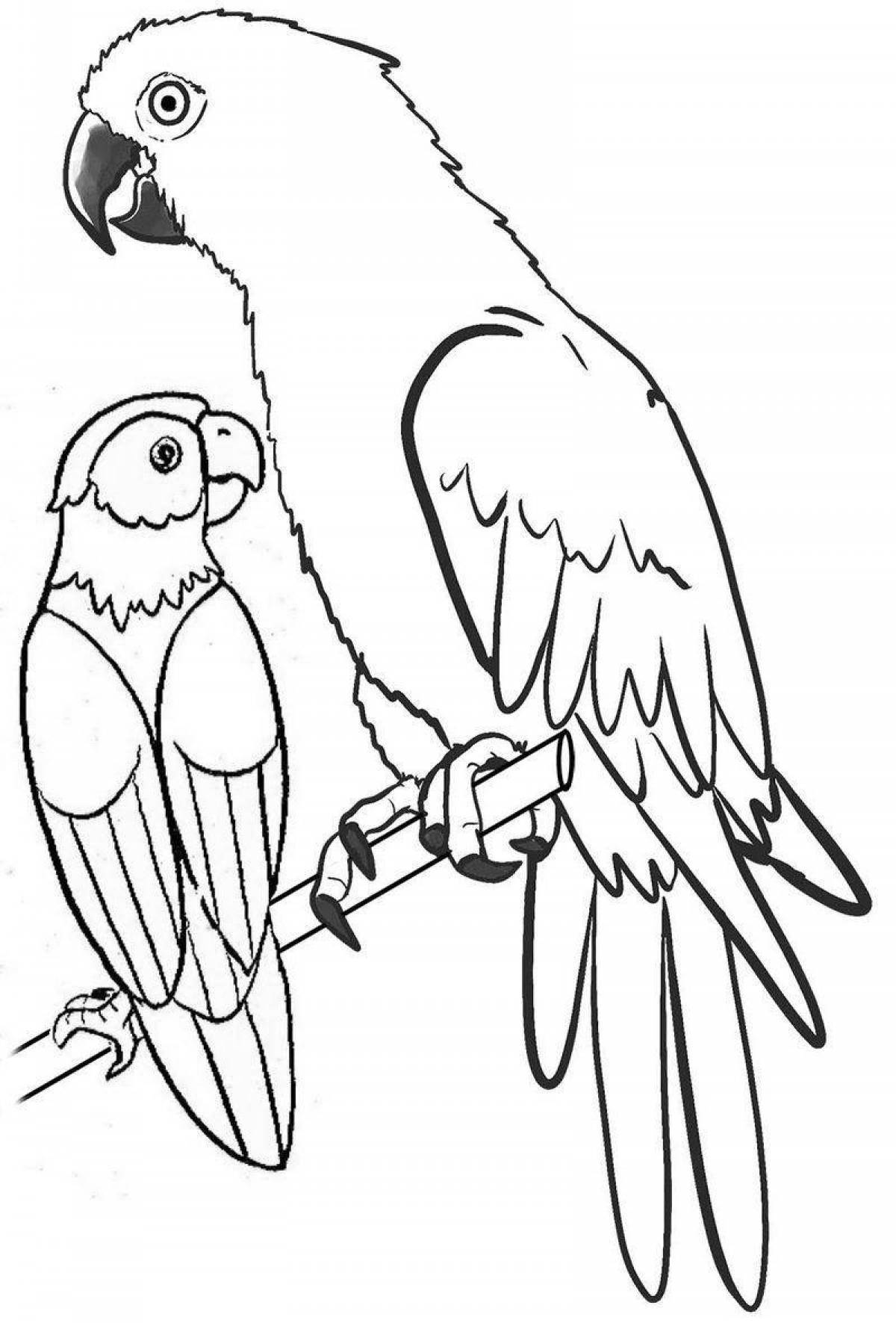 Coloring page playful macaw parrot