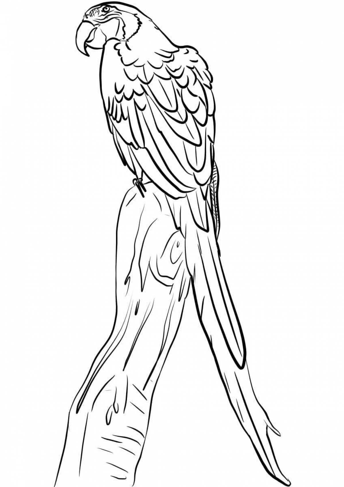 Coloring page happy macaw parrot