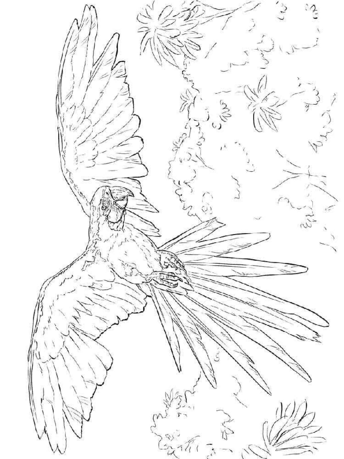 Анимированная страница раскраски попугая ара