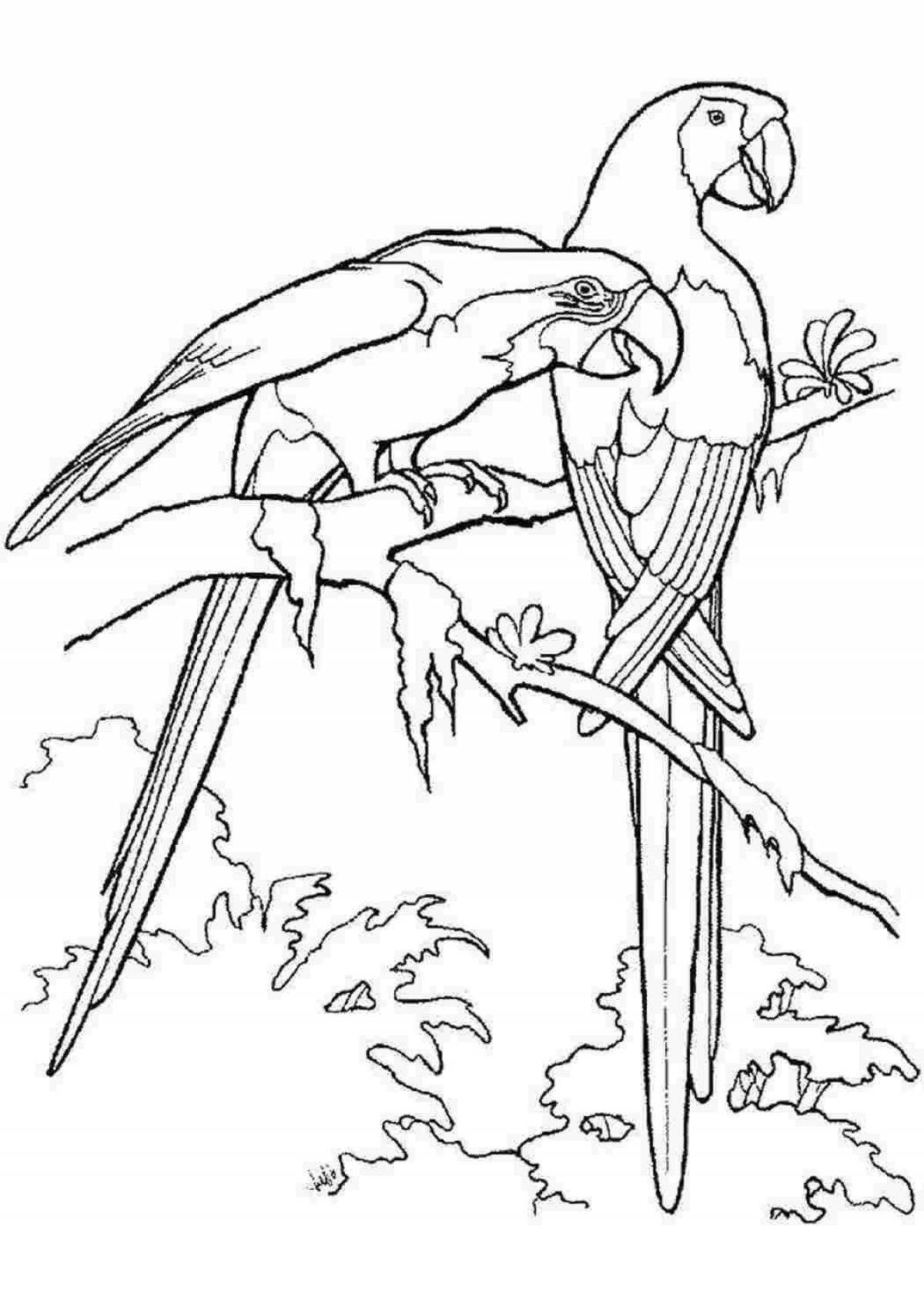 Coloring page dazzling macaw parrot