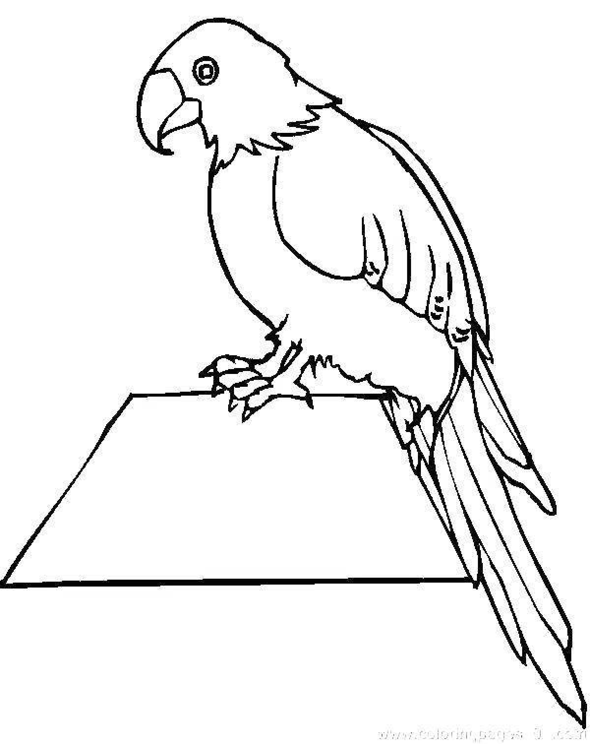 Amazingly beautiful macaw coloring page
