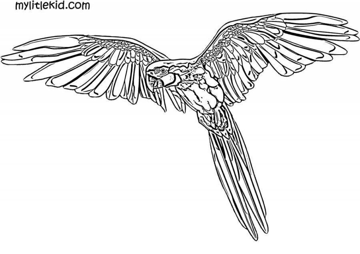 Coloring page charming macaw parrot