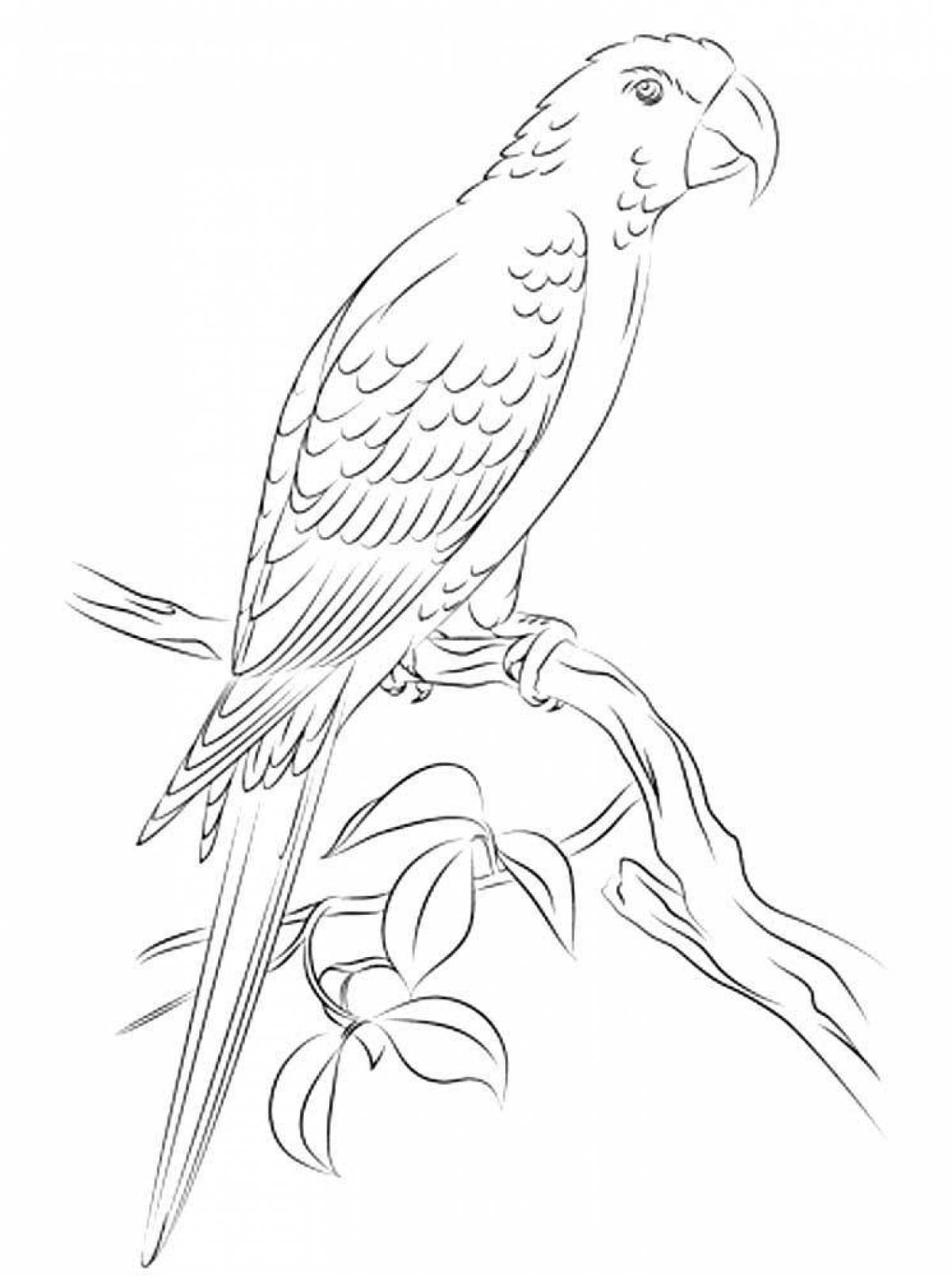 Coloring page fascinating macaw parrot