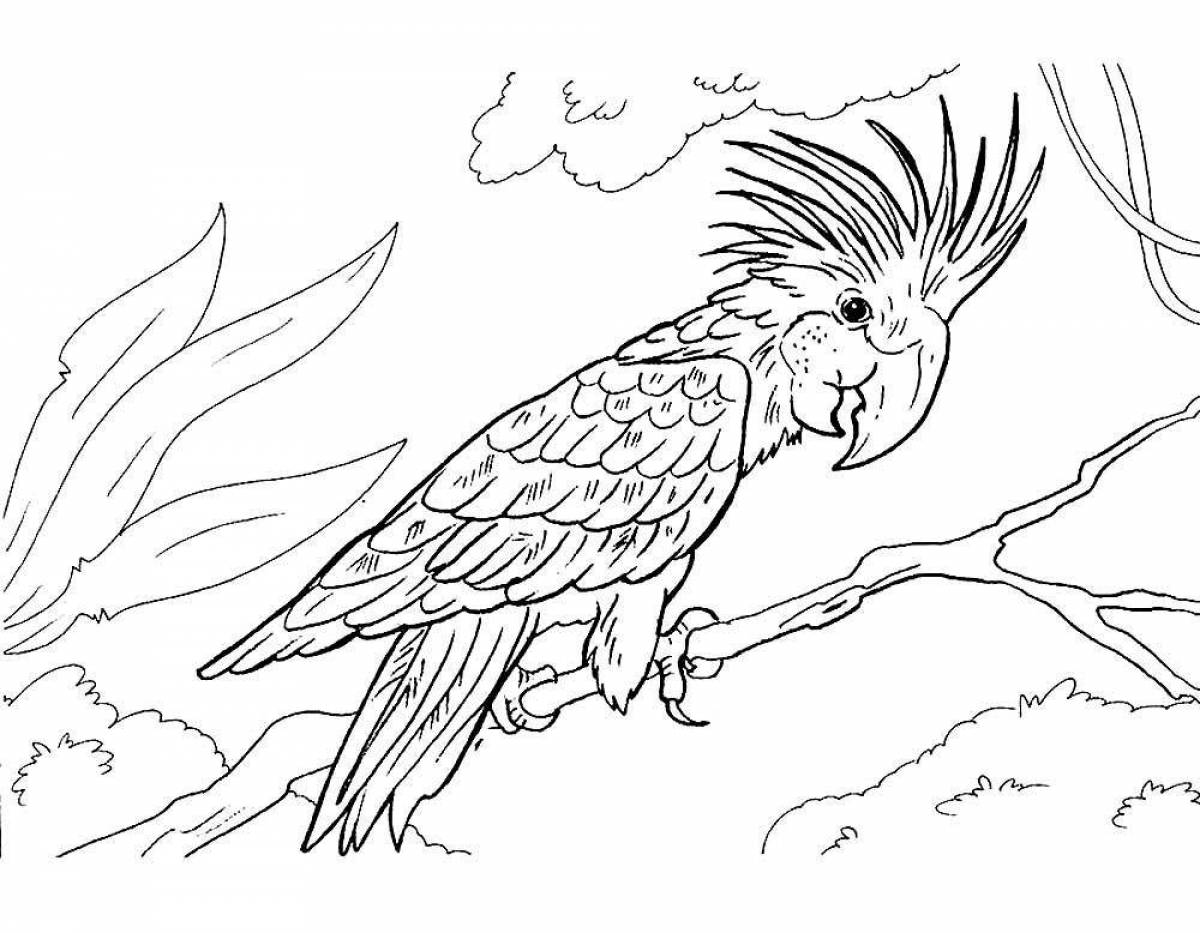 Charming macaw parrot coloring book