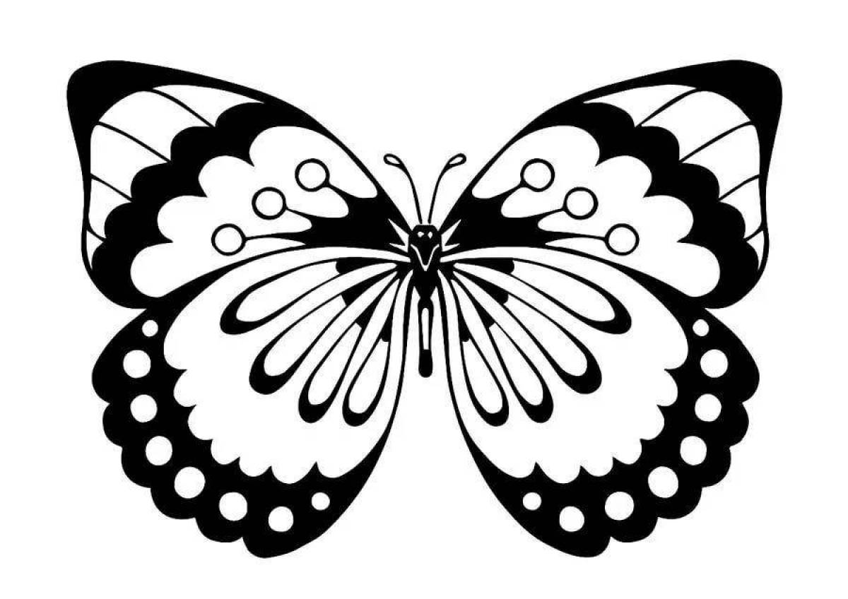 Раскраска изысканная бабочка