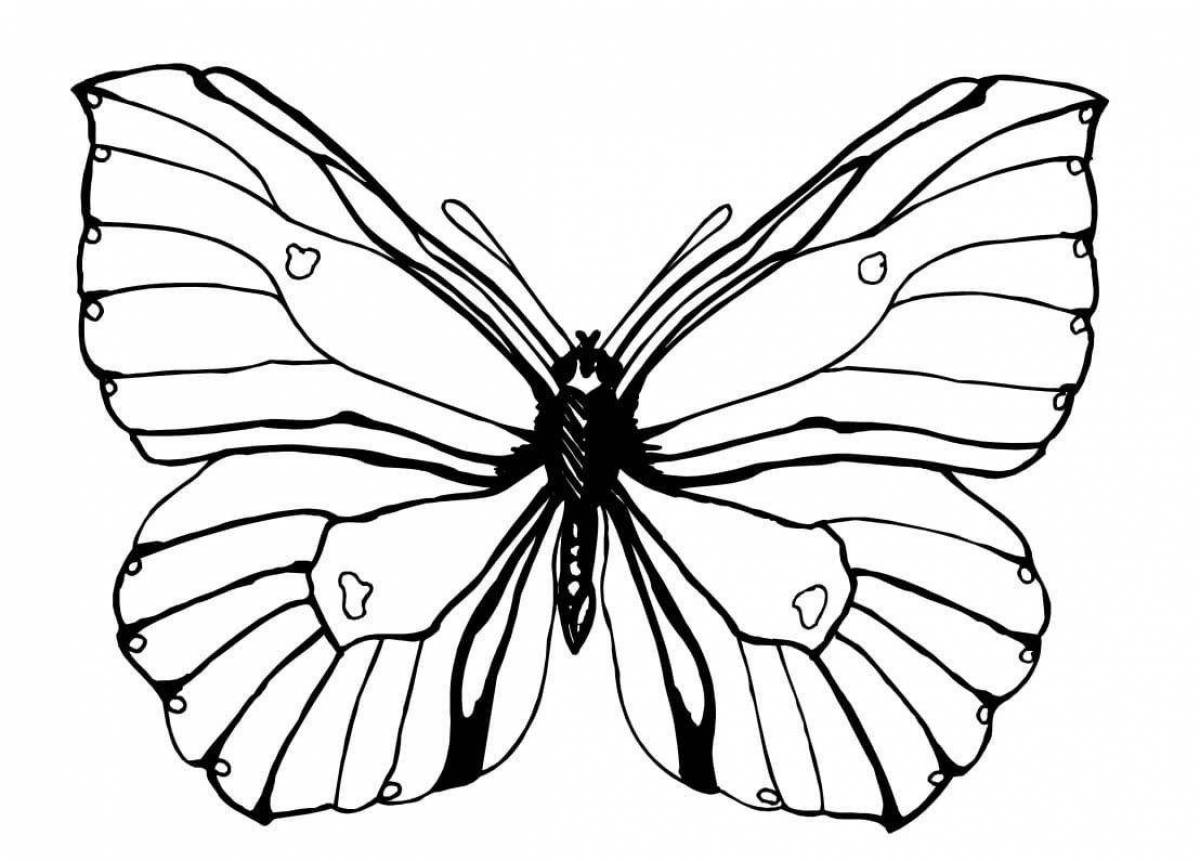 Раскраска «радостная бабочка»