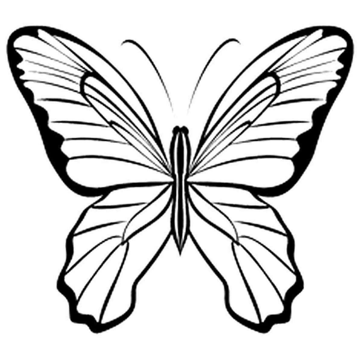 Бабочка раскраска шаблон