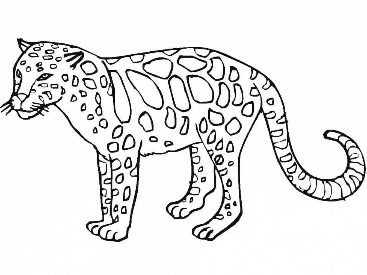 Colorful leopard coloring pages for kids