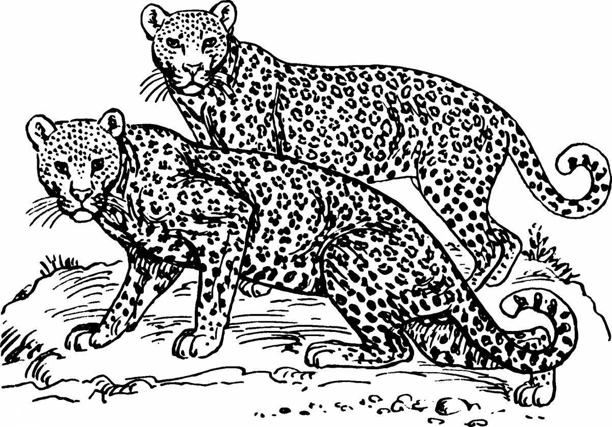 Gorgeous leopard coloring book for kids