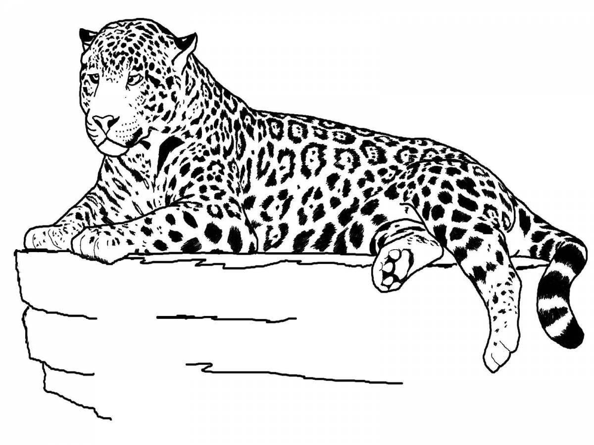 Glorious leopard coloring for kids