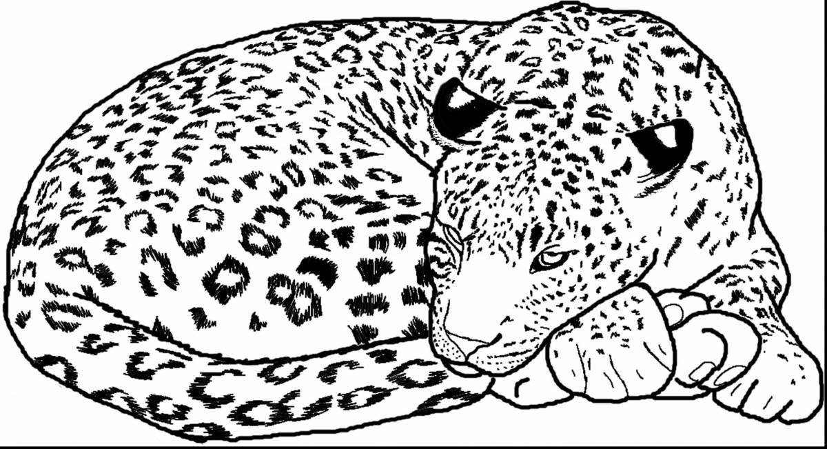 Exquisite leopard coloring book for kids