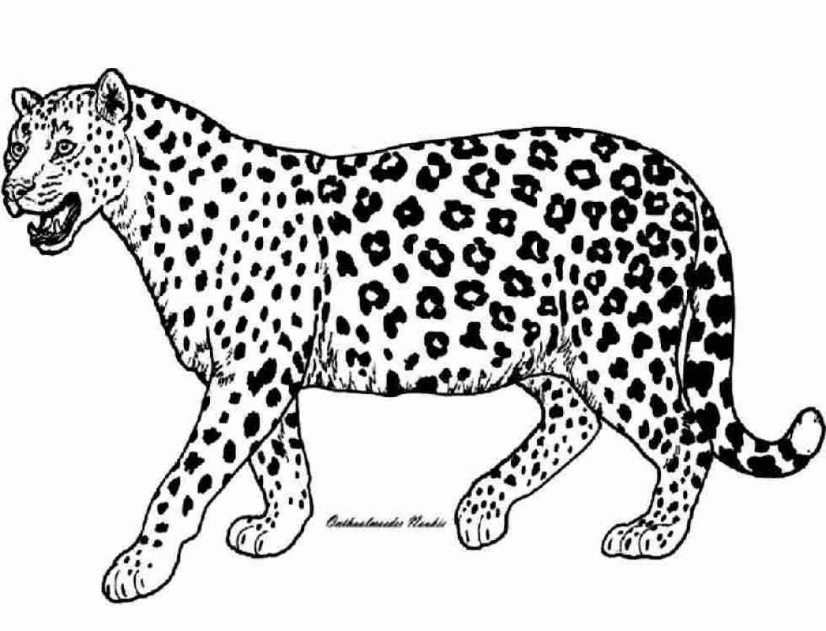 Fun leopard coloring book for kids