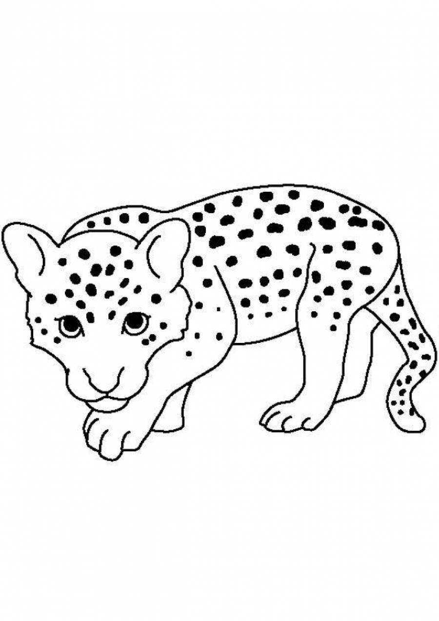 Раскраска животные леопард для детей