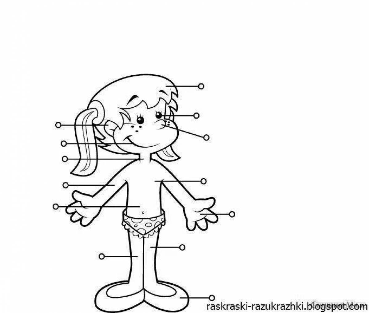 Части тела рисунок. Раскраска части тела человека для детей. Раскраска тело человека для детей. Части тела раскраска для детей. Раскраска части тела для дошкольников.