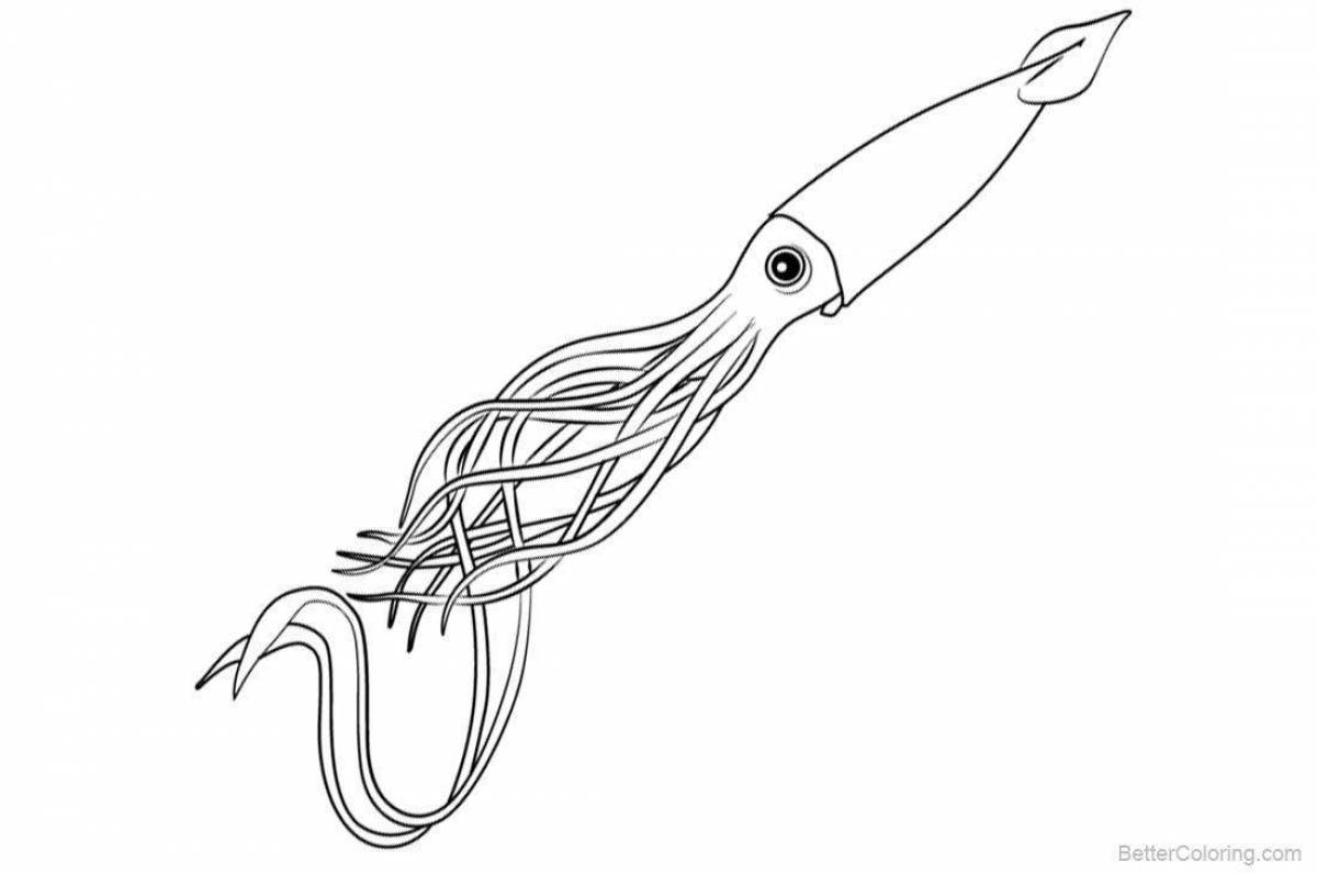 Great squid coloring book