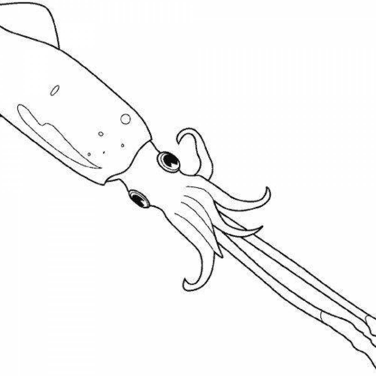 Fun coloring squid