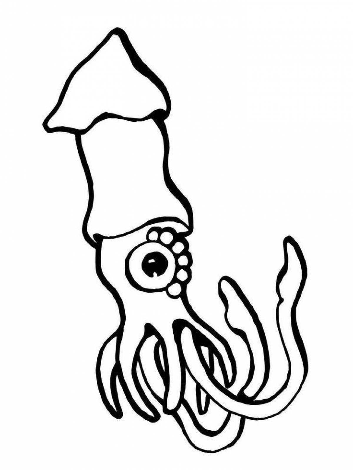 Beautiful coloring squid