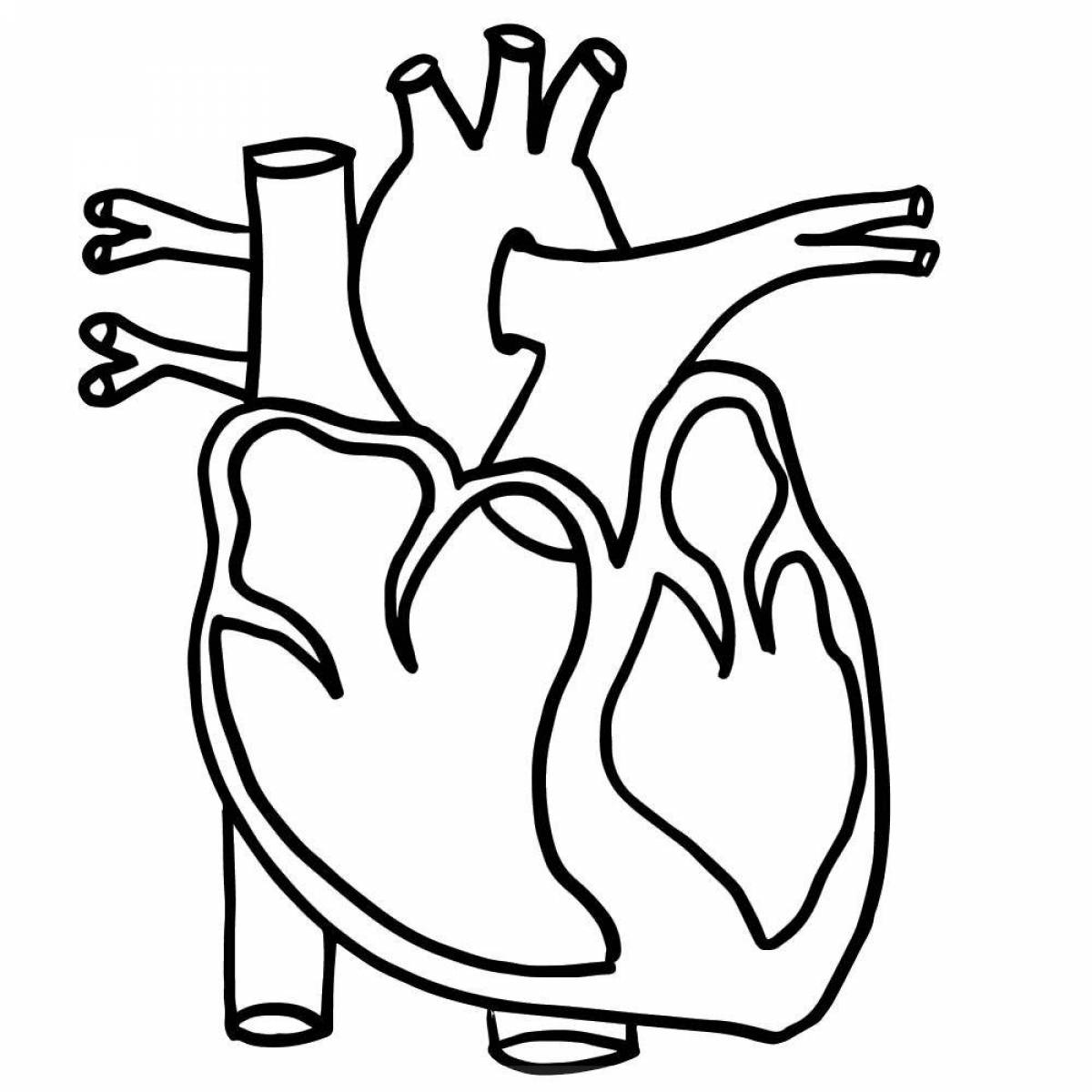 Glowing human heart coloring page