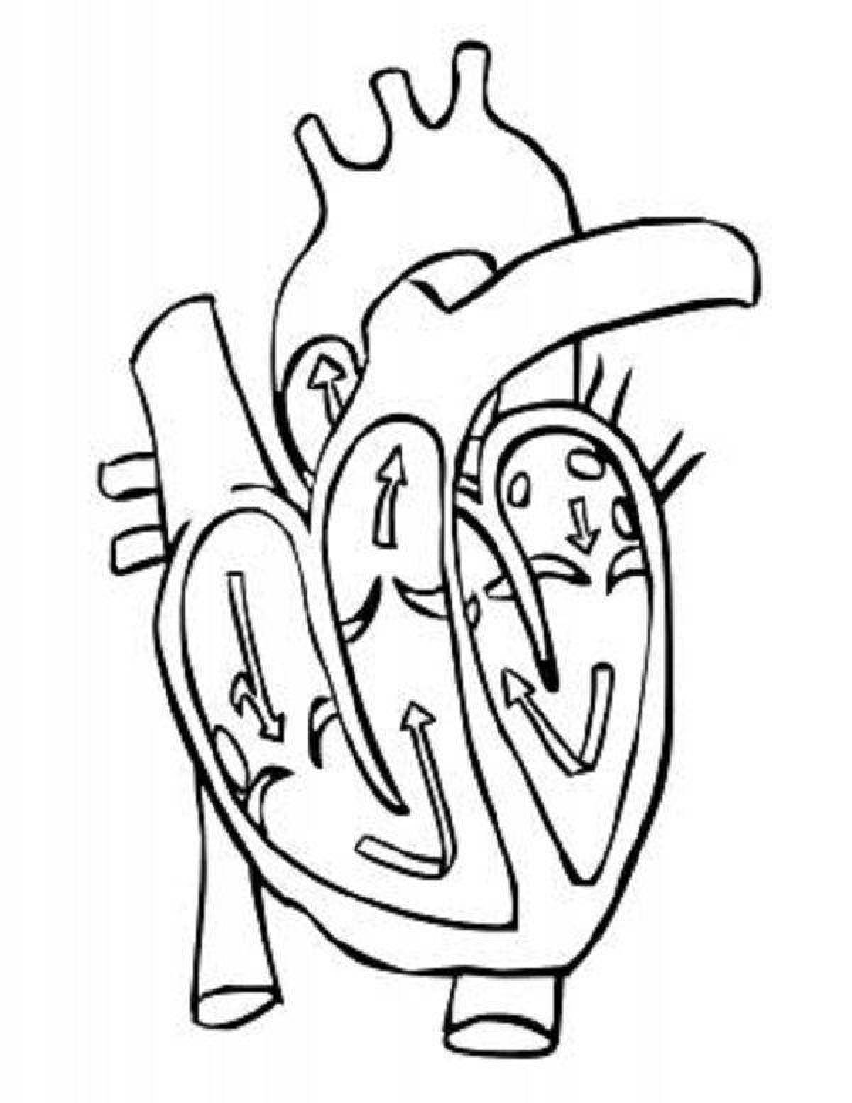Adorable human heart coloring page