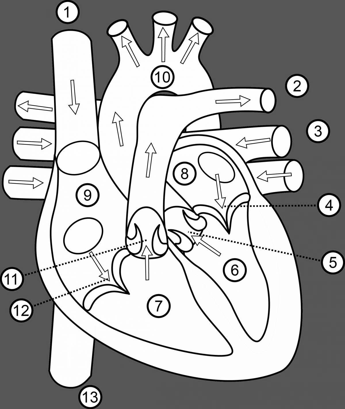 Funny human heart coloring page