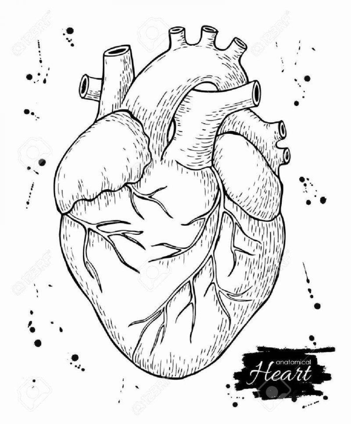 Coloring page of serene human heart
