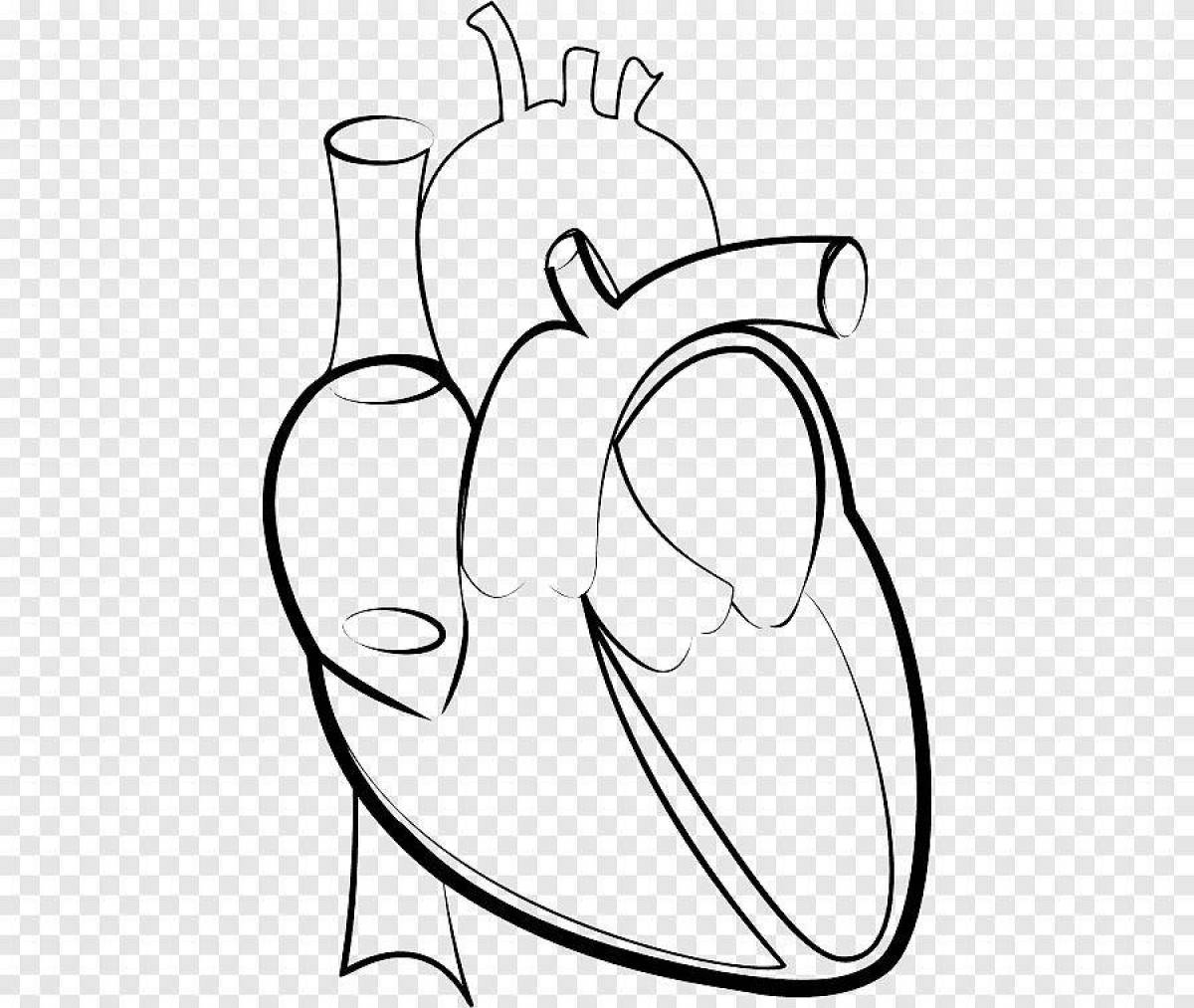 Coloring page calm human heart