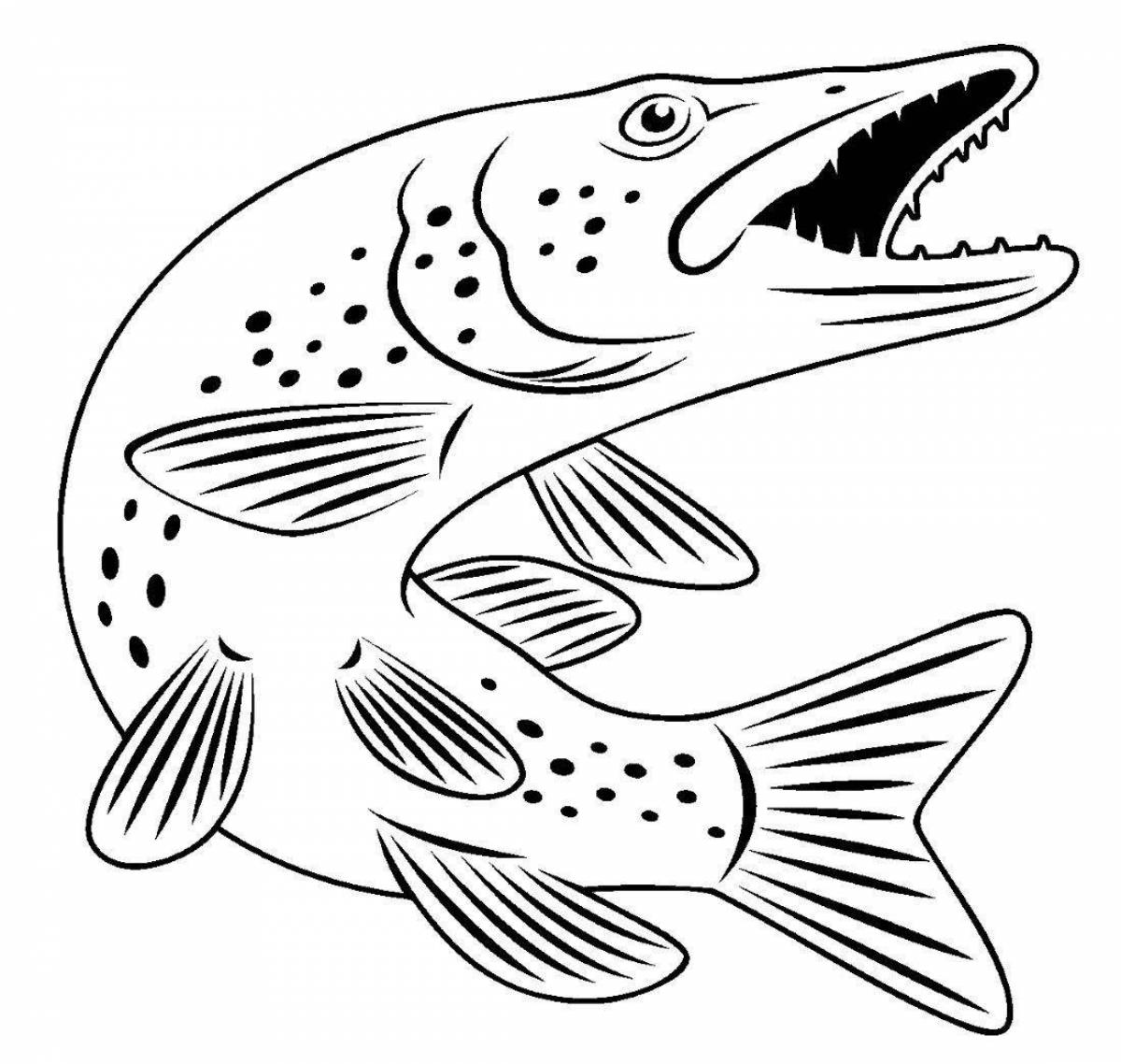 Colorful pike coloring page for kids