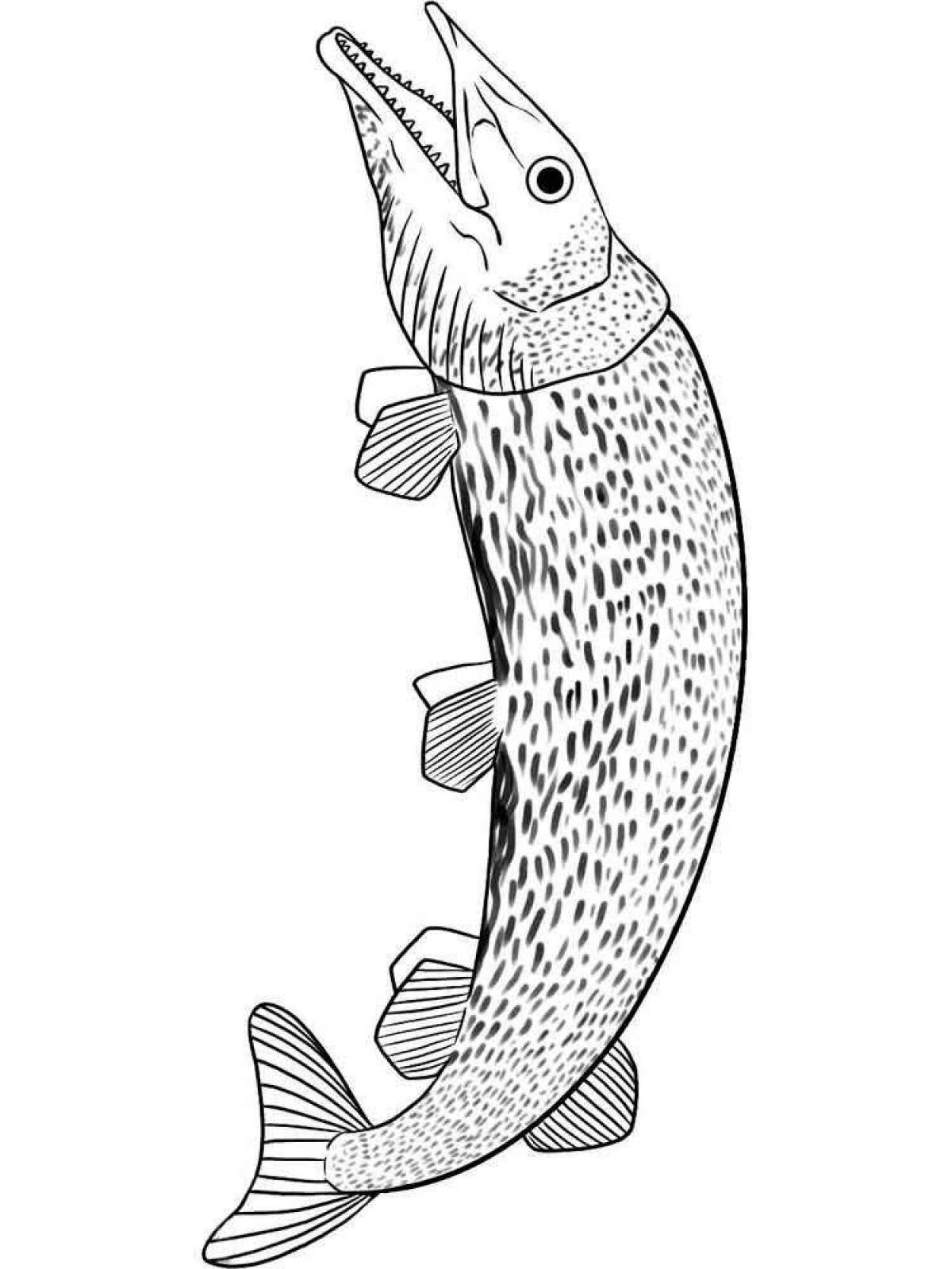 Fun coloring pike for babies