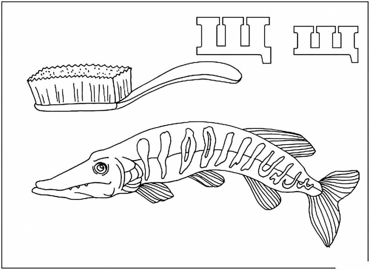 Cute pike coloring page for preschoolers