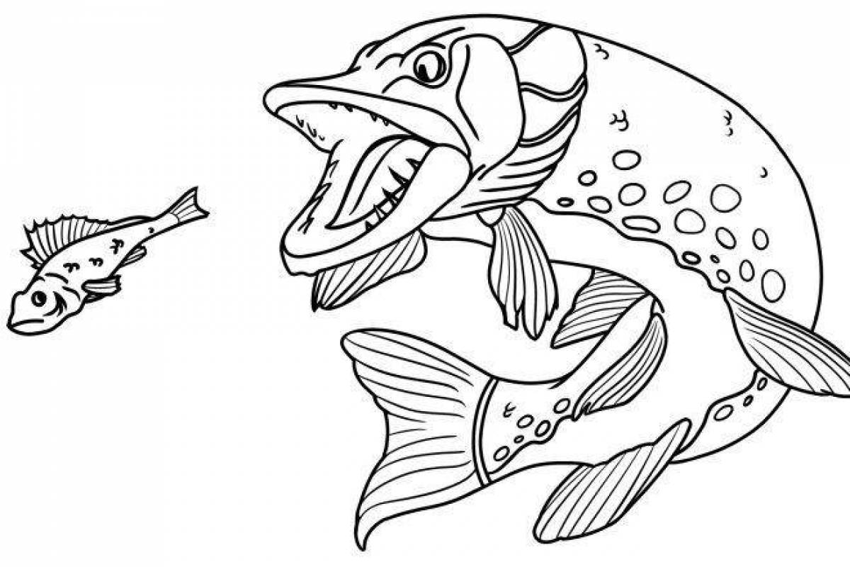 Coloring book nice pike for students