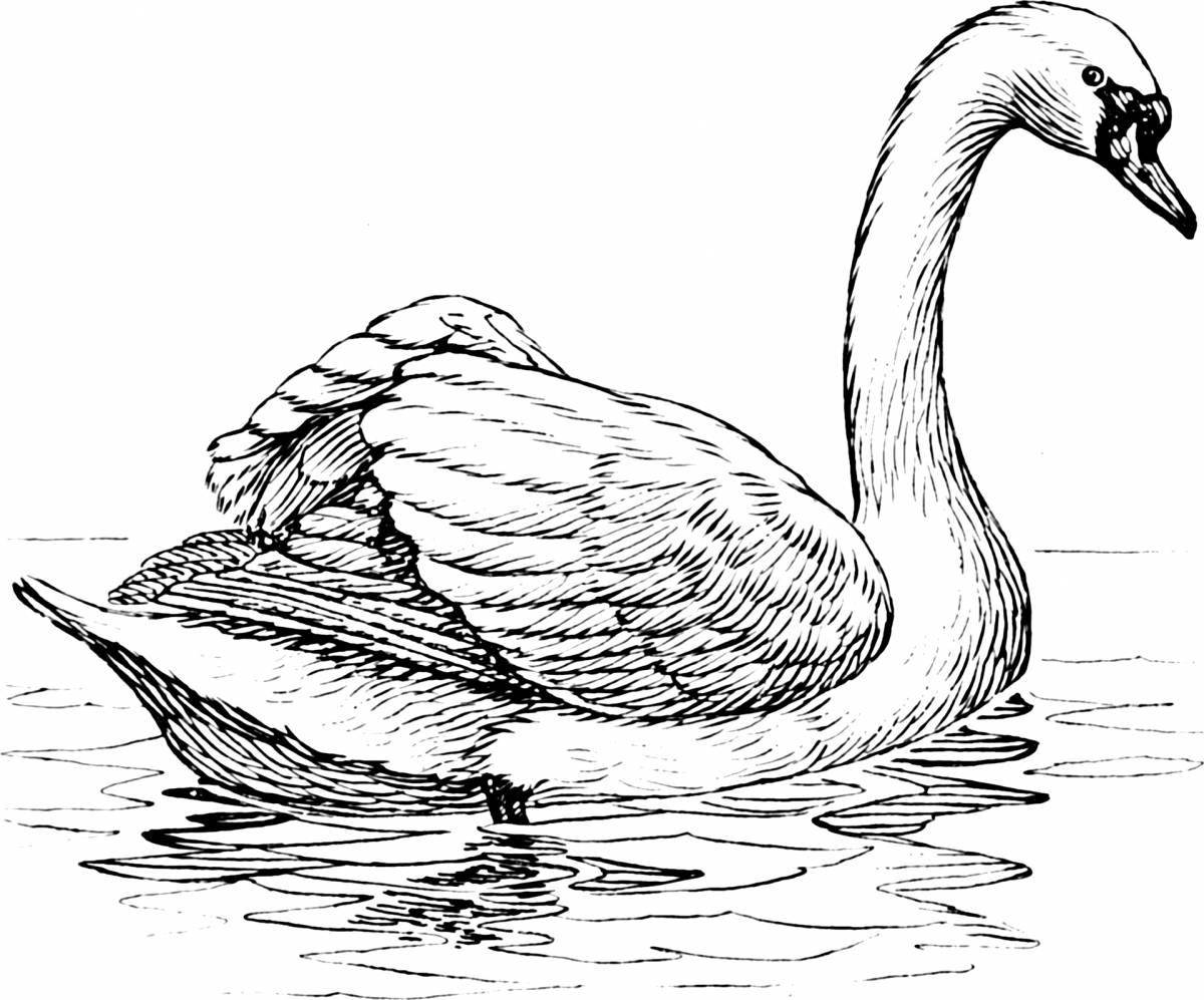 Adorable swan coloring book for kids