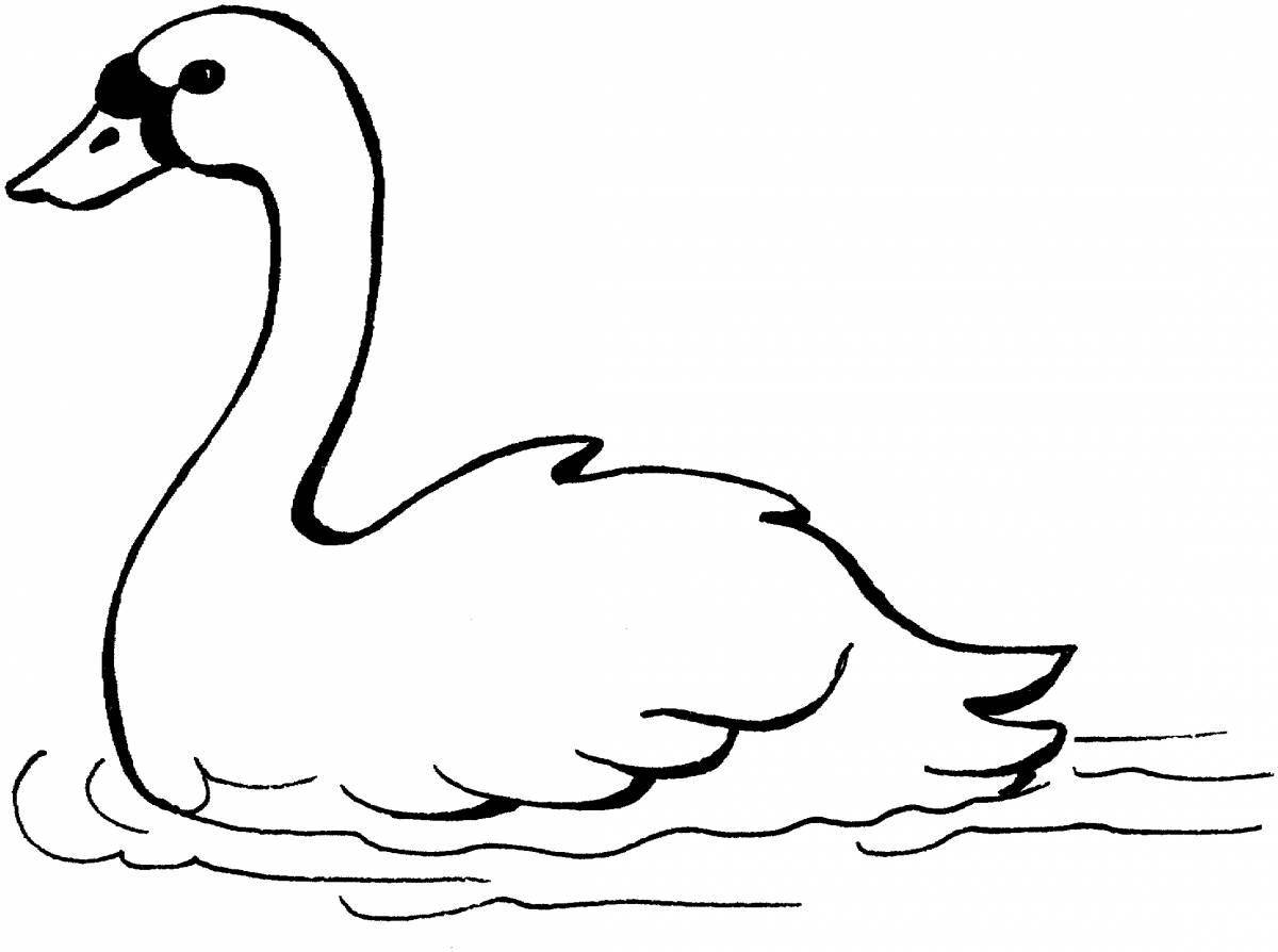 Gorgeous swan coloring book for kids