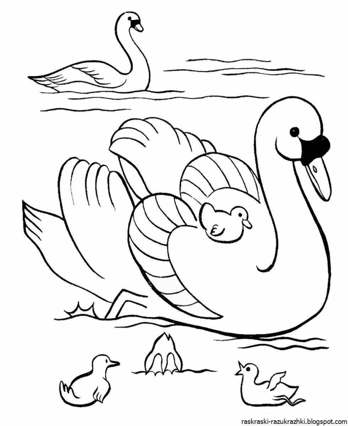 Charming swan coloring book for kids