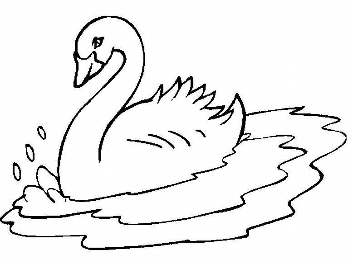 A graceful swan coloring for children