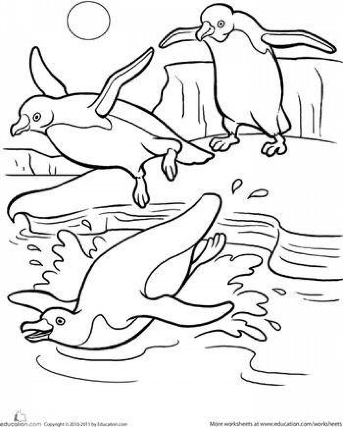 Colorful Antarctic Weddell Seal Coloring Page